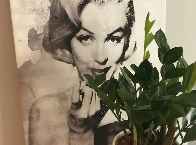 Apartment Studencka *